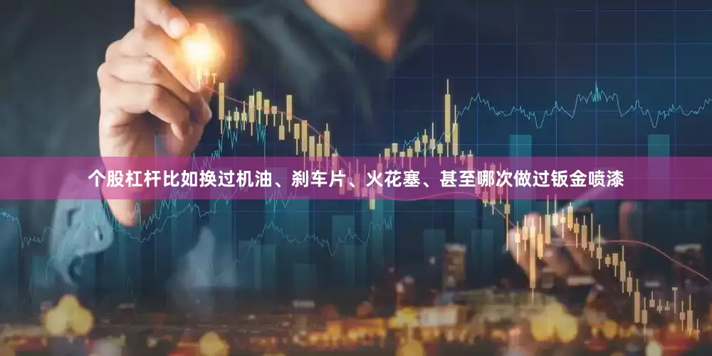个股杠杆比如换过机油、刹车片、火花塞、甚至哪次做过钣金喷漆